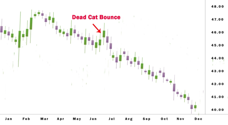 dead cat bounce 2