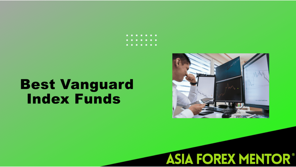 Best Vanguard Index Funds For 2024 Fidelity Kally Marinna