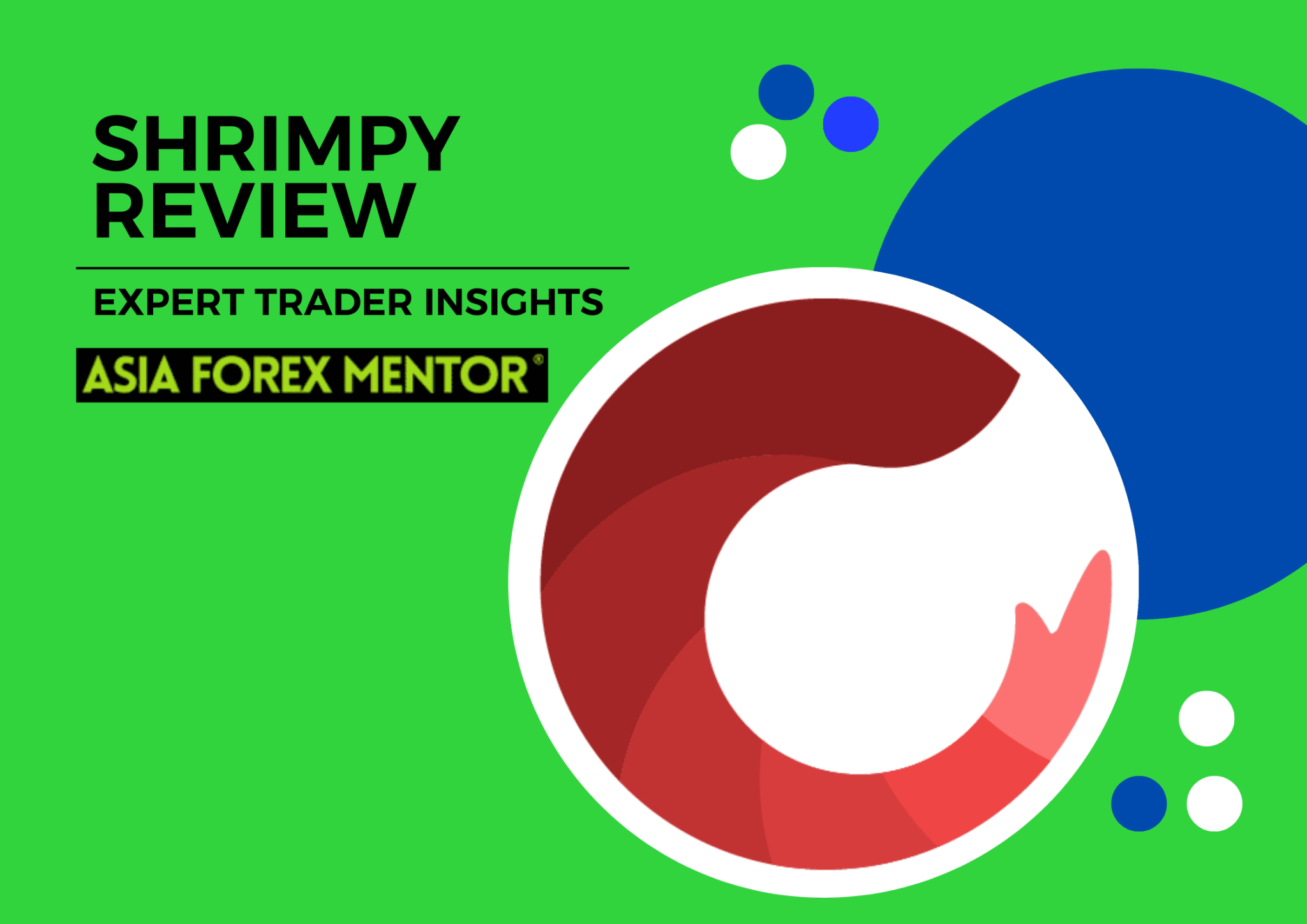 Shrimpy Review 2023 Experts Trader Insights Shrimpy Review 2023 A Complete Experts Guide 5301