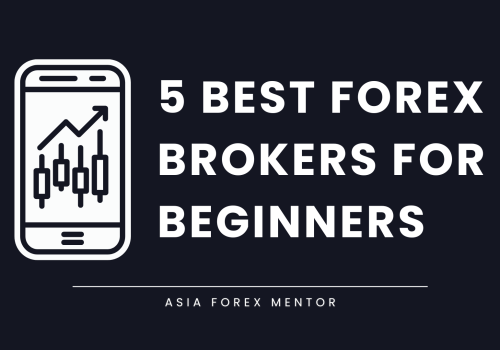 The 5 Best Forex Brokers for Beginners in 2024: Your Guide to Getting Started