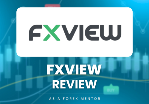 FXView Review 2024 – Expert Trader Insights