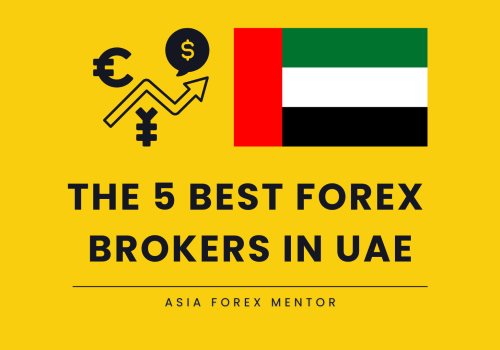 The 5 Best Forex Brokers in UAE in 2024