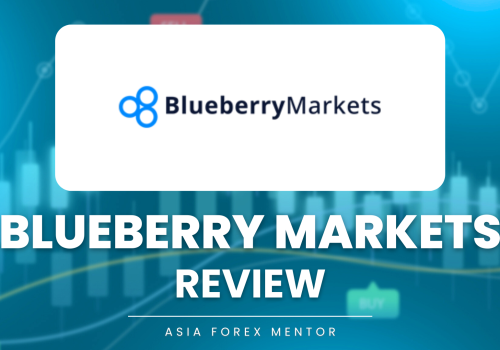 Blueberry Markets Review 2024 – Expert Trader Insights