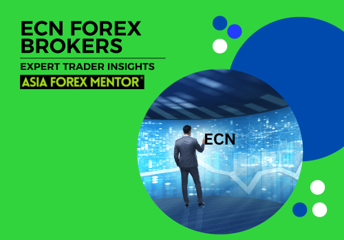 A Comprehensive Guide to ECN Forex Brokers