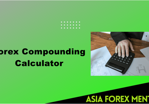 How To Use the Forex Compound Calculator?