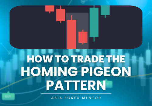 How to Trade the Homing Pigeon Pattern