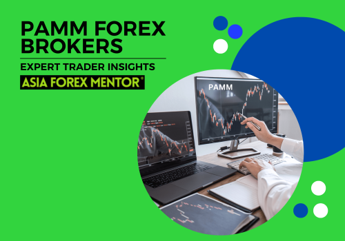 A Comprehensive Guide to PAMM Forex Brokers 2024