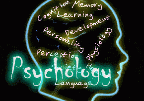 Trading Psychology – Conquering Your Emotions