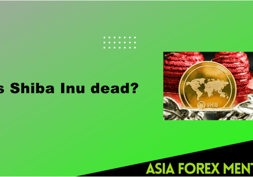 Is Shiba Inu dead? – A Complete Guide For Shiba Inu Coin Investors
