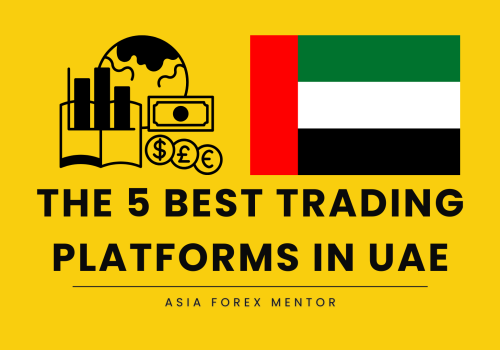 The 5 Best Trading Platforms in UAE in 2024: Things to Remember