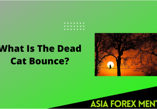 What Is The Dead Cat Bounce?