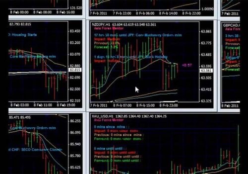 Asia Forex Mentor High Forex Trading Winning Probability