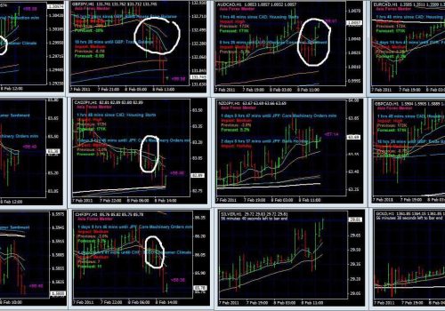 AFM High Forex Winning Probability Secret Leak..