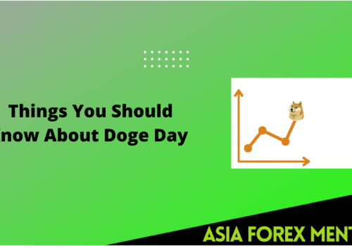Things You Should Know About Doge Day