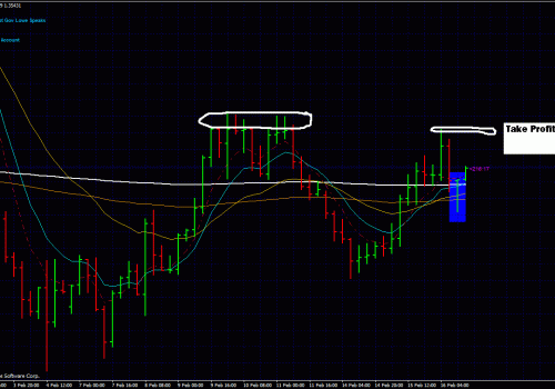 Lessons from a Live Forex Trade