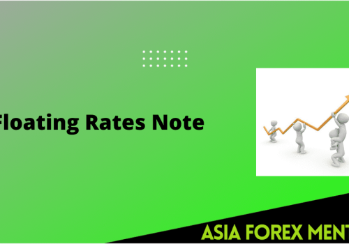 Should You Invest in Floating Rate Notes?