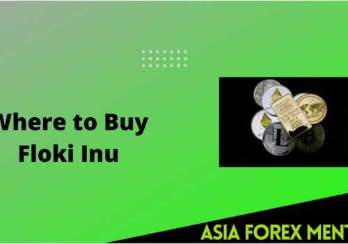 Where to Buy Floki Inu? – Find the Best Exchange and Price for the Crypto Asset