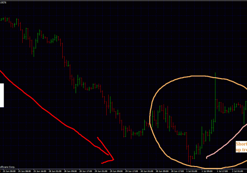 Forex Trading Strategies: Which trend should I look?