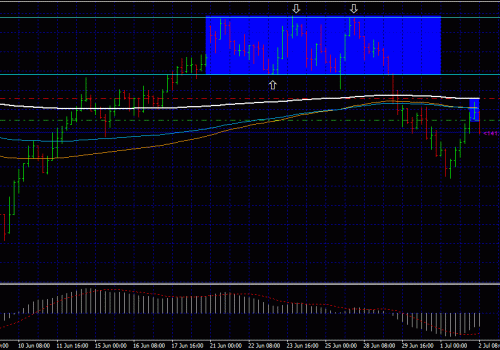 price action – first time back 2/07