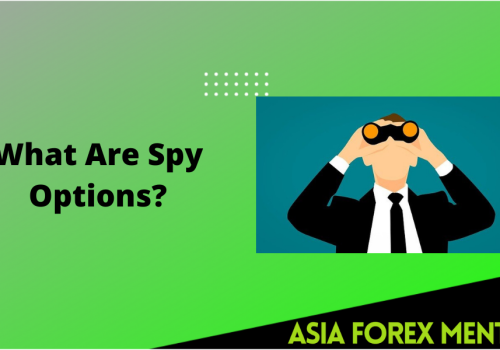 What Are Spy Options