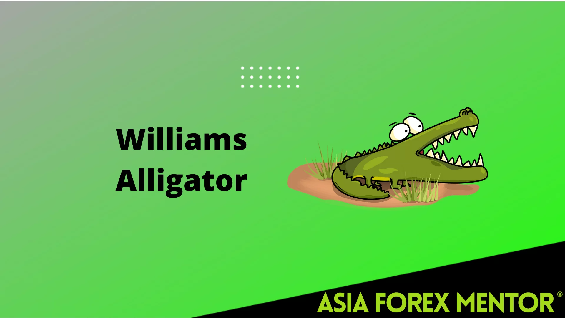 Williams Alligator