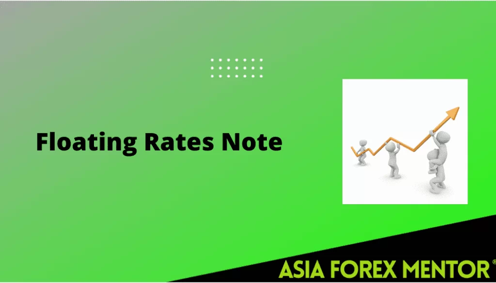 Floating Rate Notes